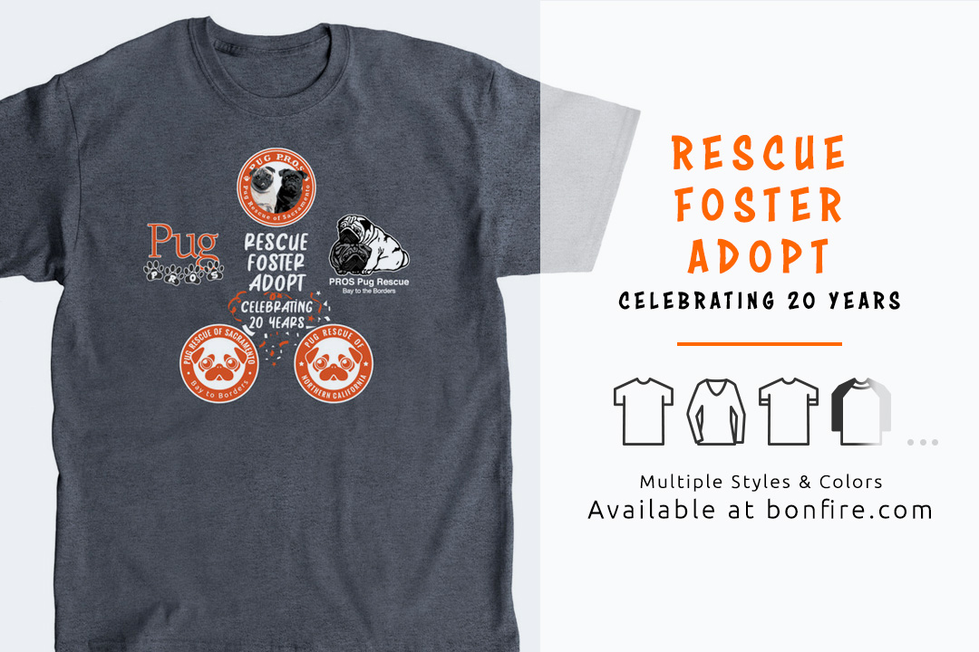 Rescue Foster Adopt - Celebrating 20 Years