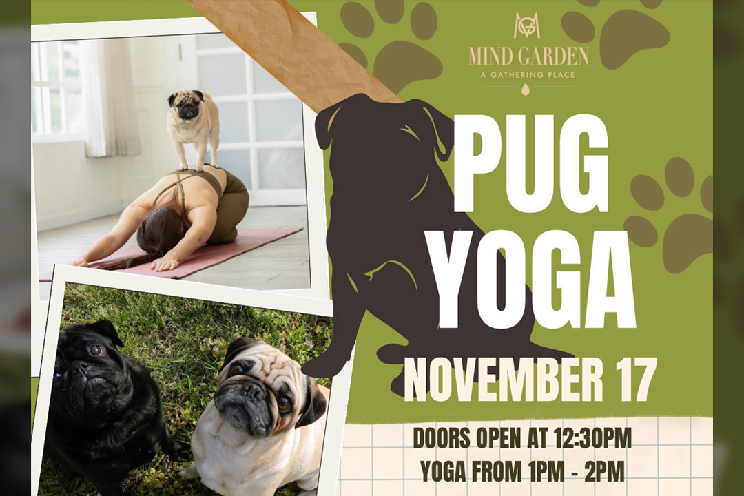 Pug Yoga 2024