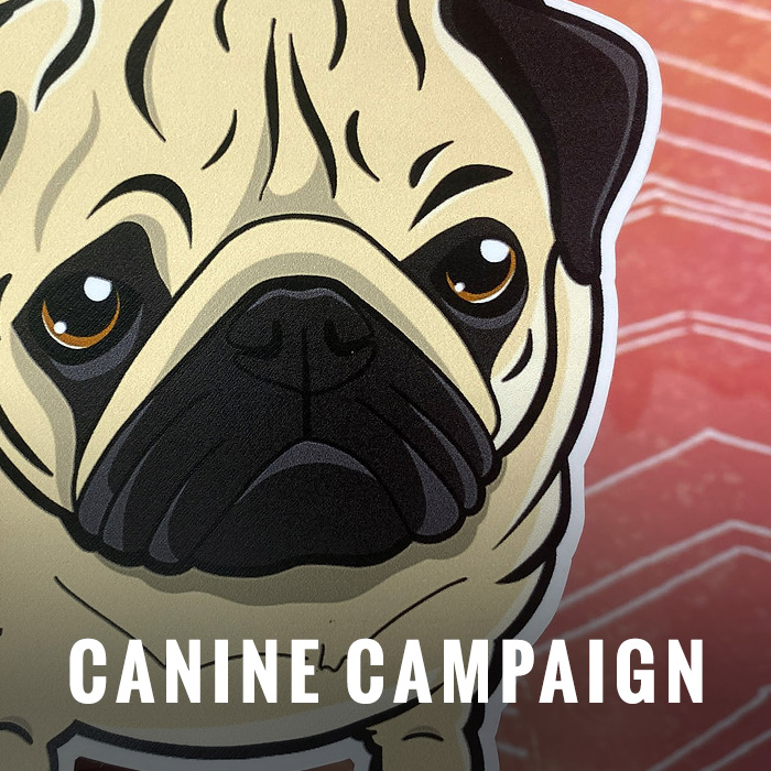 Canine Campaign
