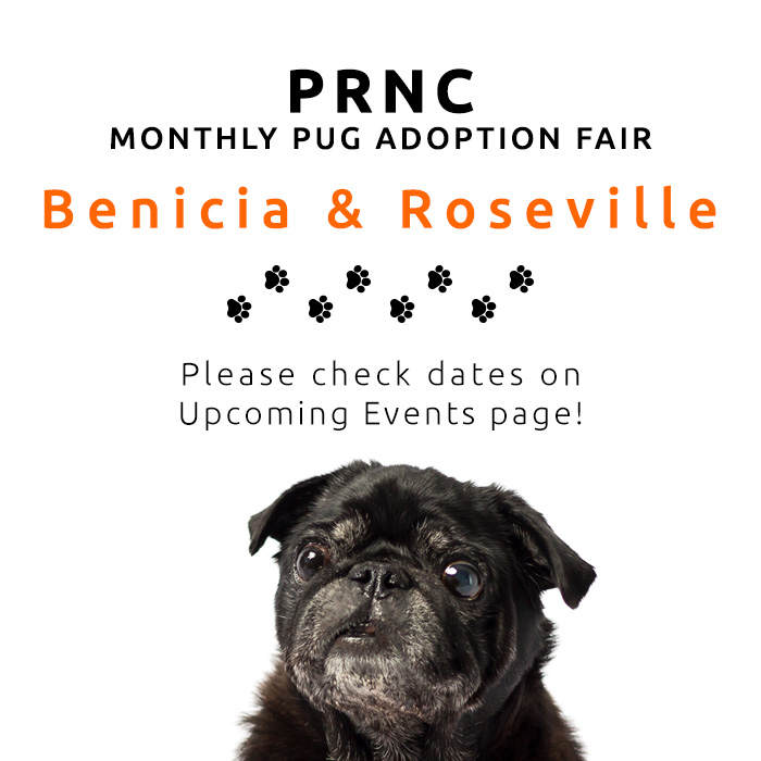 PRNC Monthly Adoption Events